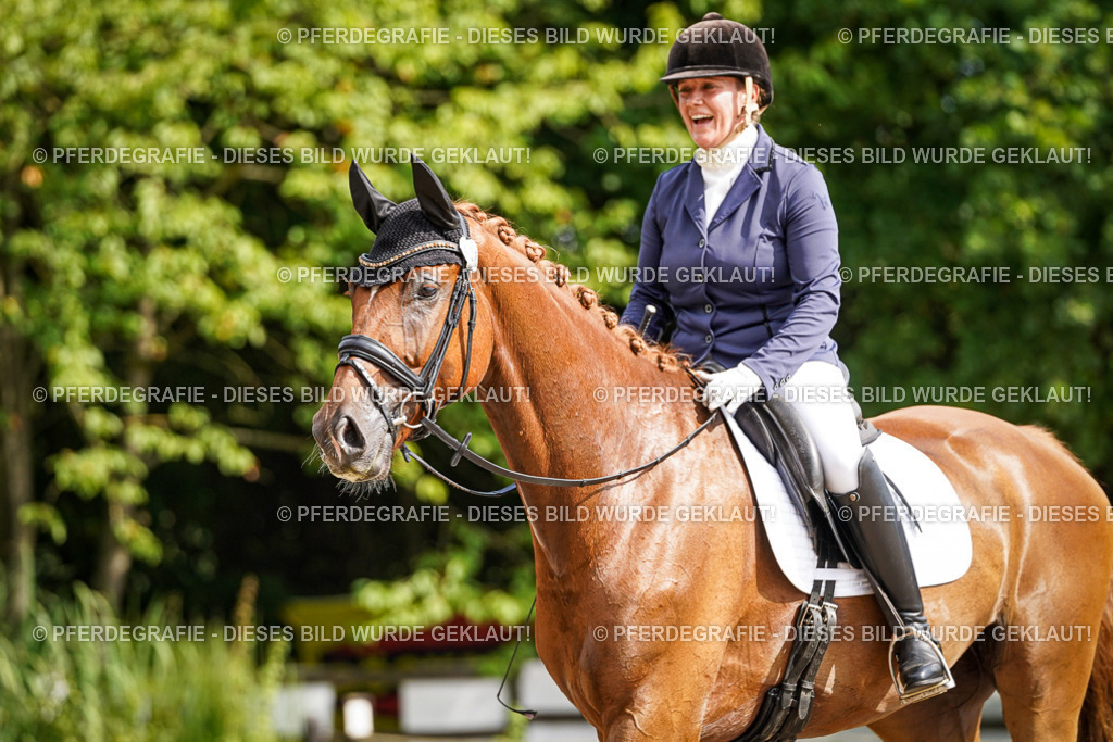 DSC07398 | Pferdegrafie