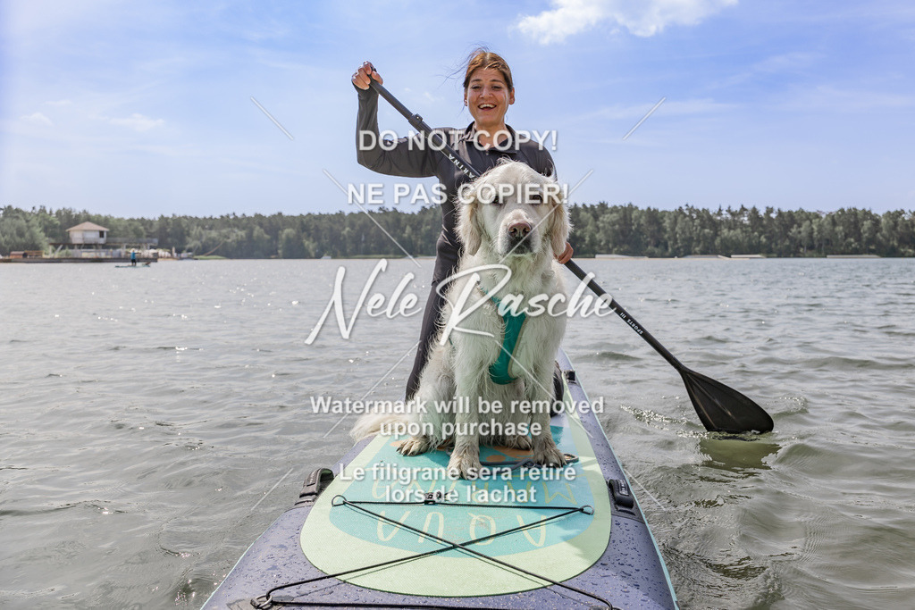 BUHU_SUP_697 | nelerasche