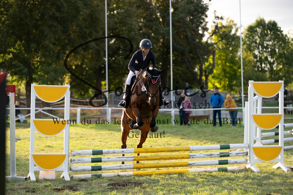 A7V06232 | Pferdefotograf