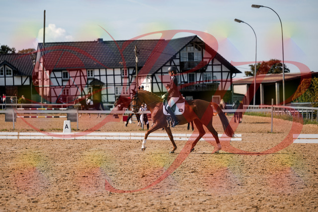2026_10_03_Siefer-Hof_132848_Z63_90101231 | Professionelle Reitsport-, Turnier- und Eventfotografie von Robert Broda. Galerien mit ausgewählten und bearbeiteten Bildern direkt online ansehen und bestellen.
