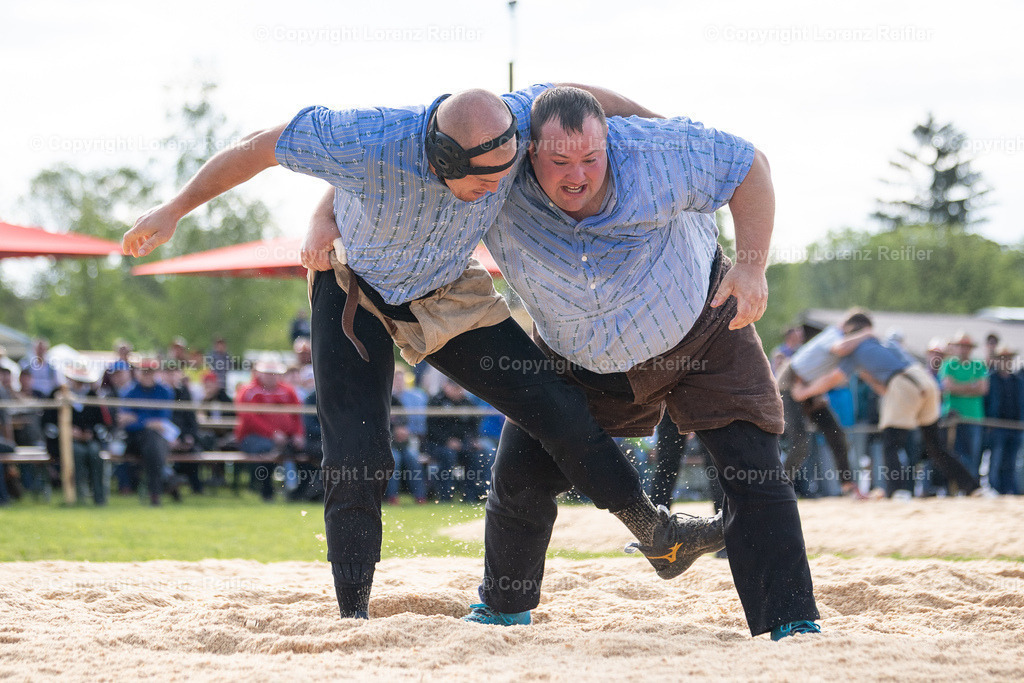 Schwingen -  Thurgauer Kantonales 2025 | Thundorf, 4.5.25, Schwingen - Thurgauer Kantonales.
