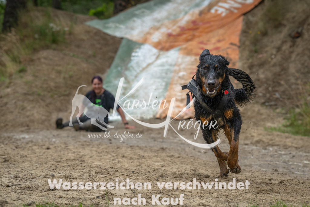 1459_ZZ93601-Bearbeitet | kk-dogfotos