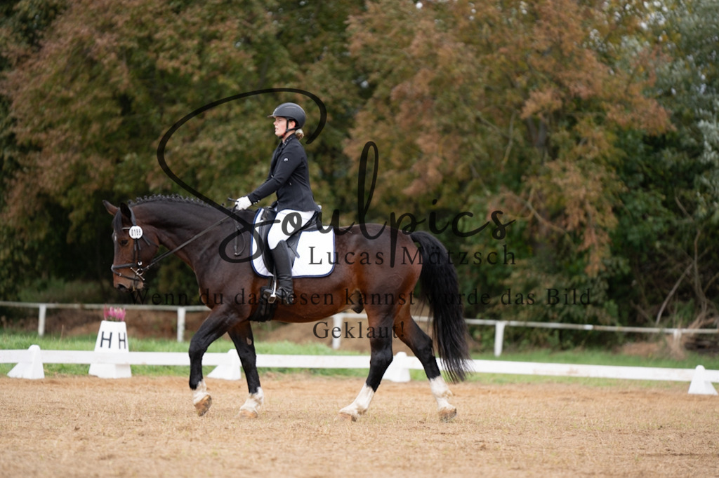 A7V05242 | Pferdefotograf