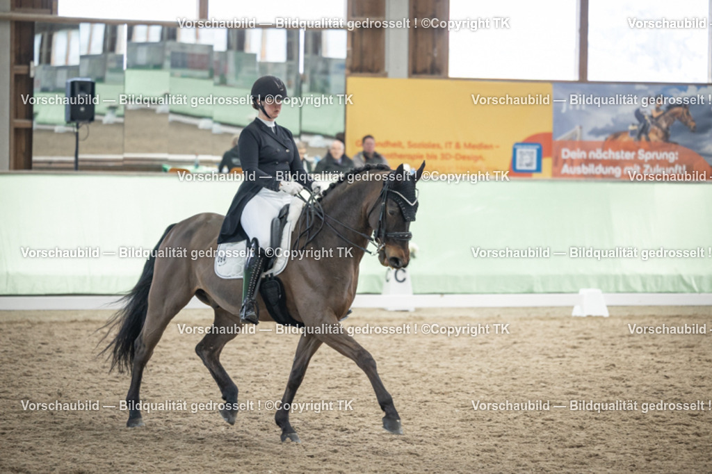 _D5A6268 | Emotionale Pferde- & People-Fotografie rund um Heidelberg, Leimen & Umgebung. Natürliche Fotos von Pferd, Mensch & Familie. Jetzt Termin sichern!