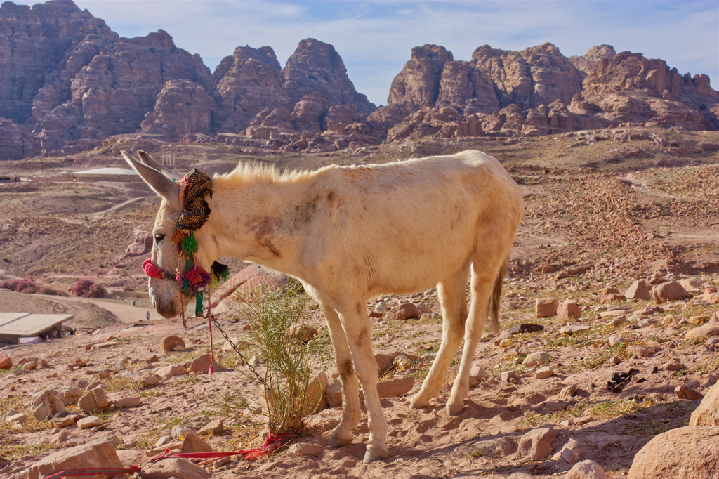 IMG_2081a | ansichtssache