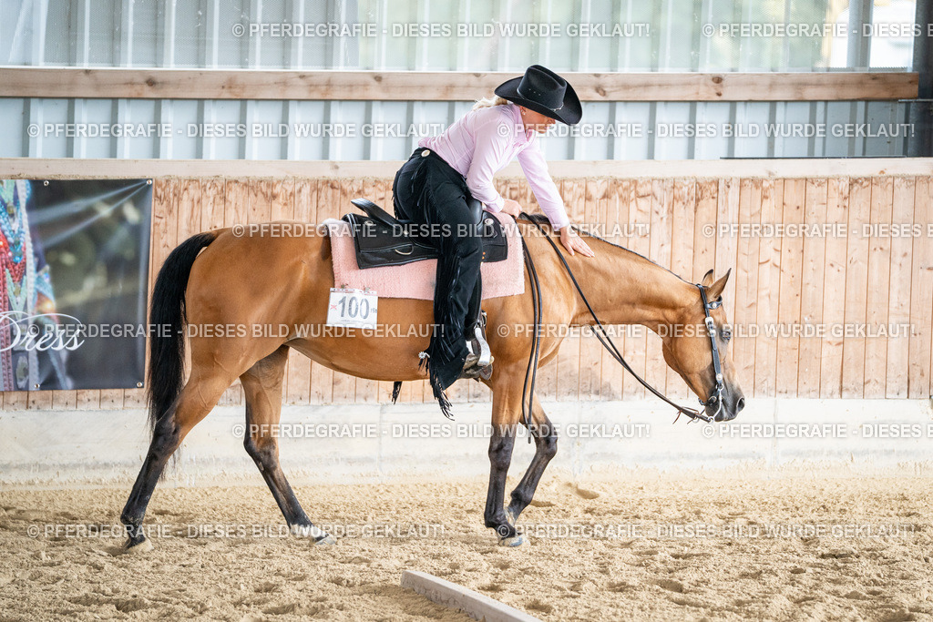 DSC02200 | Pferdegrafie