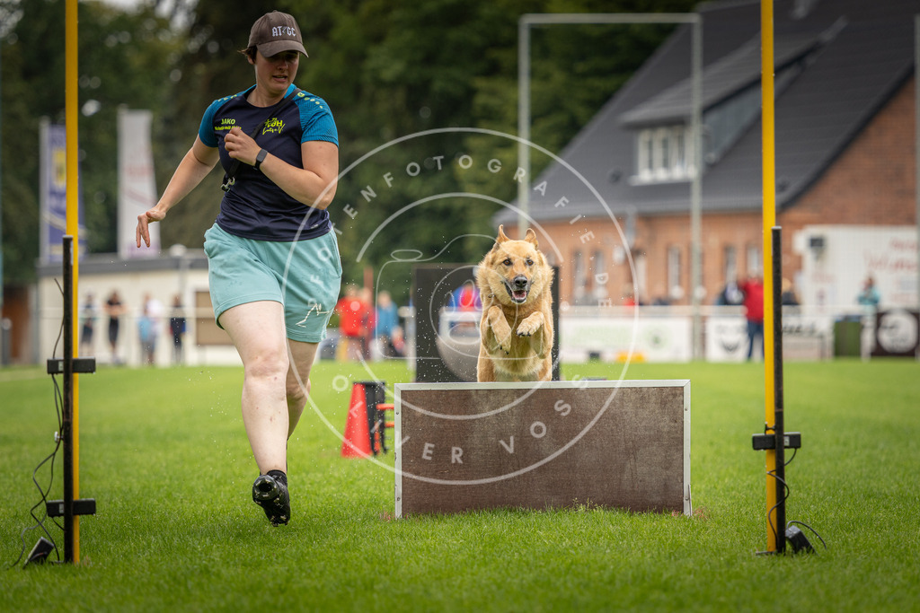 Pfotenfotografie_DV3A6013 | Hundefotografie, Tierfotograf, Pfotenfotografie, Fotoshooting Hund, Hunde Portrait, Hundesport, Hundeportraits, Heideshooting, Hunde, Sportfotograf, Hundefotograf, Turnierhundsport, THS,  - Realisiert mit Pictrs.com