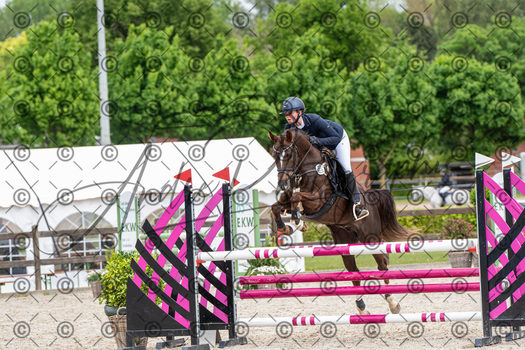 KPT_8211 | andre_photographic