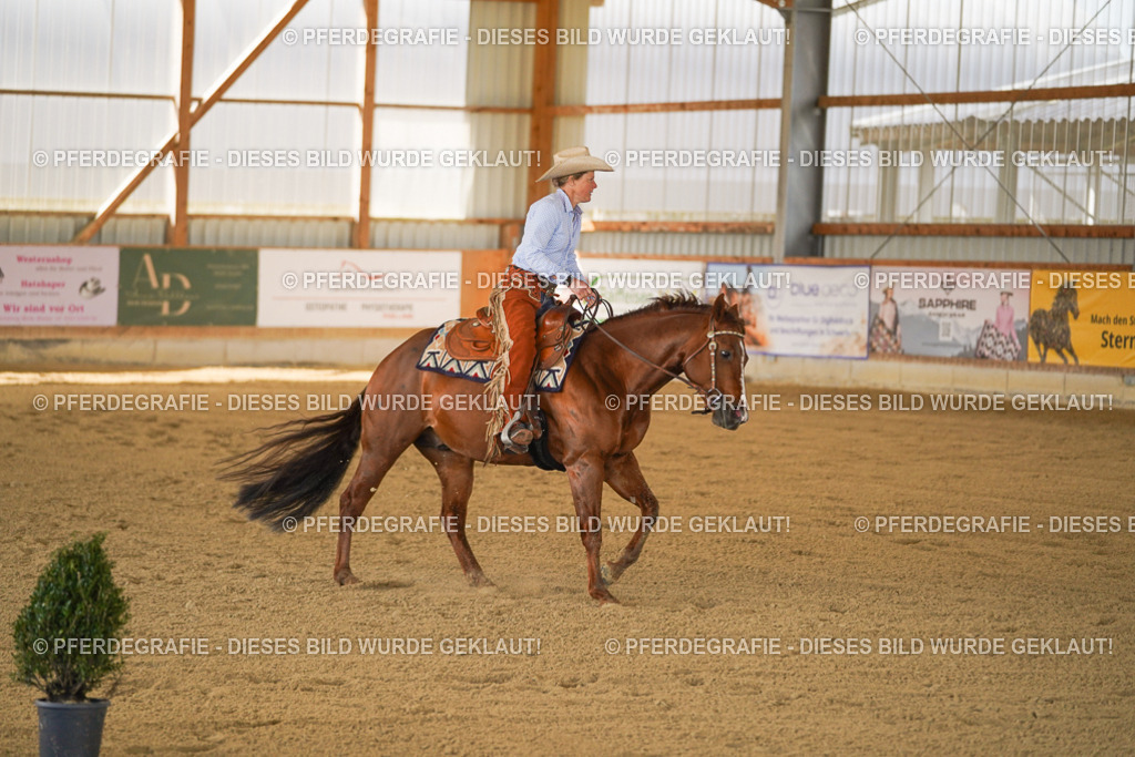 DSC07206 | Pferdegrafie