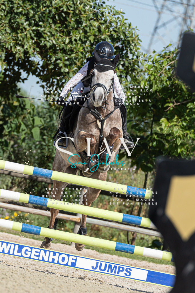 IMG_1032 | s-jay-photography - Realisiert mit Pictrs.com