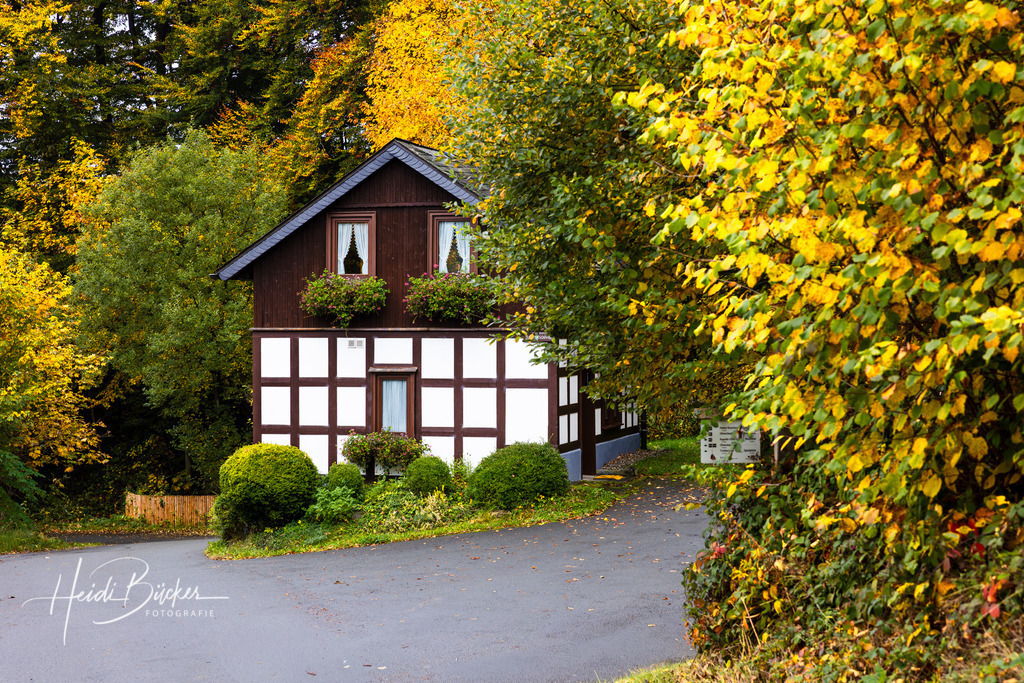 Oktober neu | Bilder und Impressionen zu jeder Jahreszeit aus dem Sauerland im Naturpark Sauerland-Rothaargebirge - Realisiert mit Pictrs.com