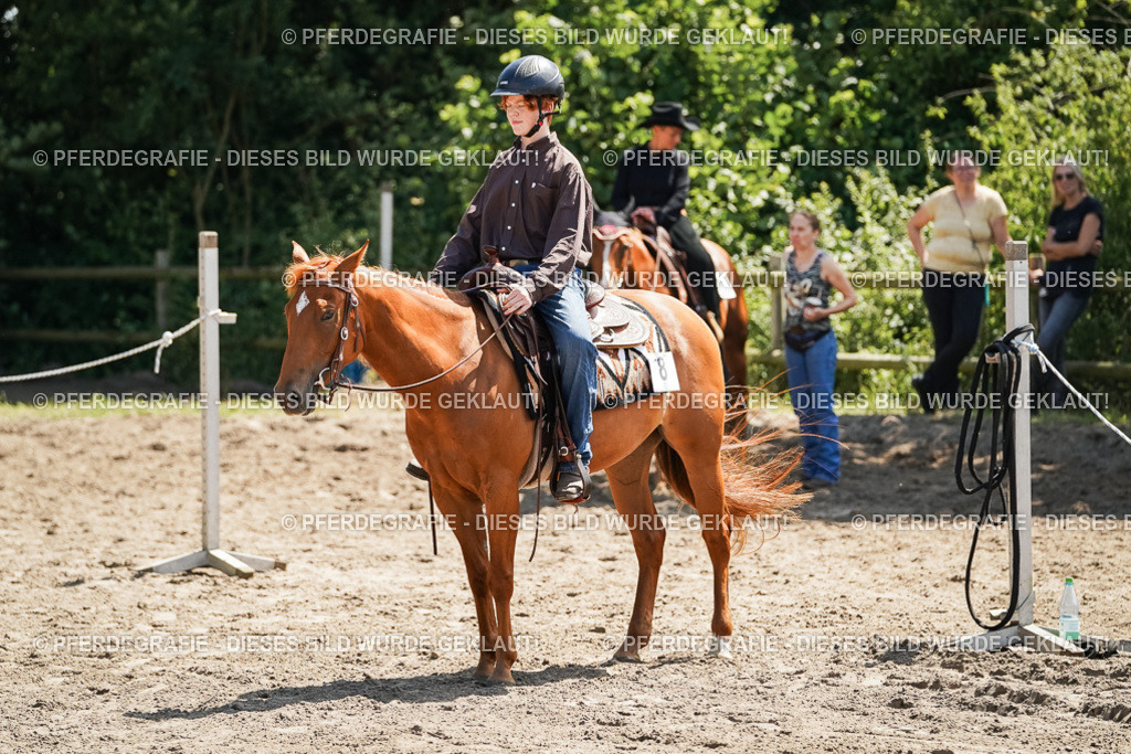 DSC07536 | Pferdegrafie