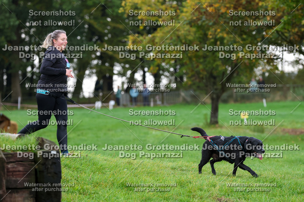 Dog Paparazzi -  SD1026-2007 | Dog Paparazzi Jeanette Grottendiek Fotografie & Videografie - Realisiert mit Pictrs.com