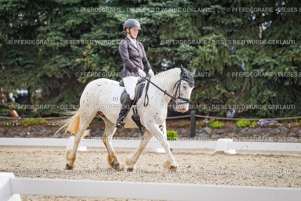 DSC01053 | Pferdegrafie