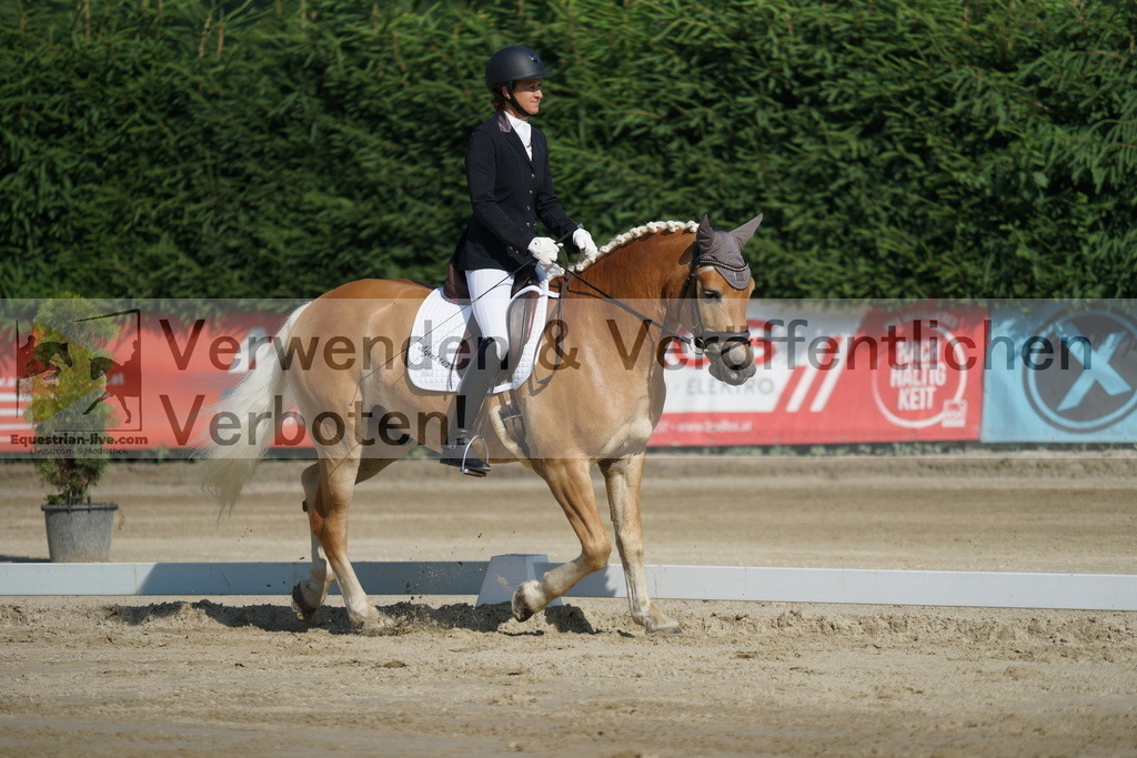 DSC01335 | equestrian-live-com