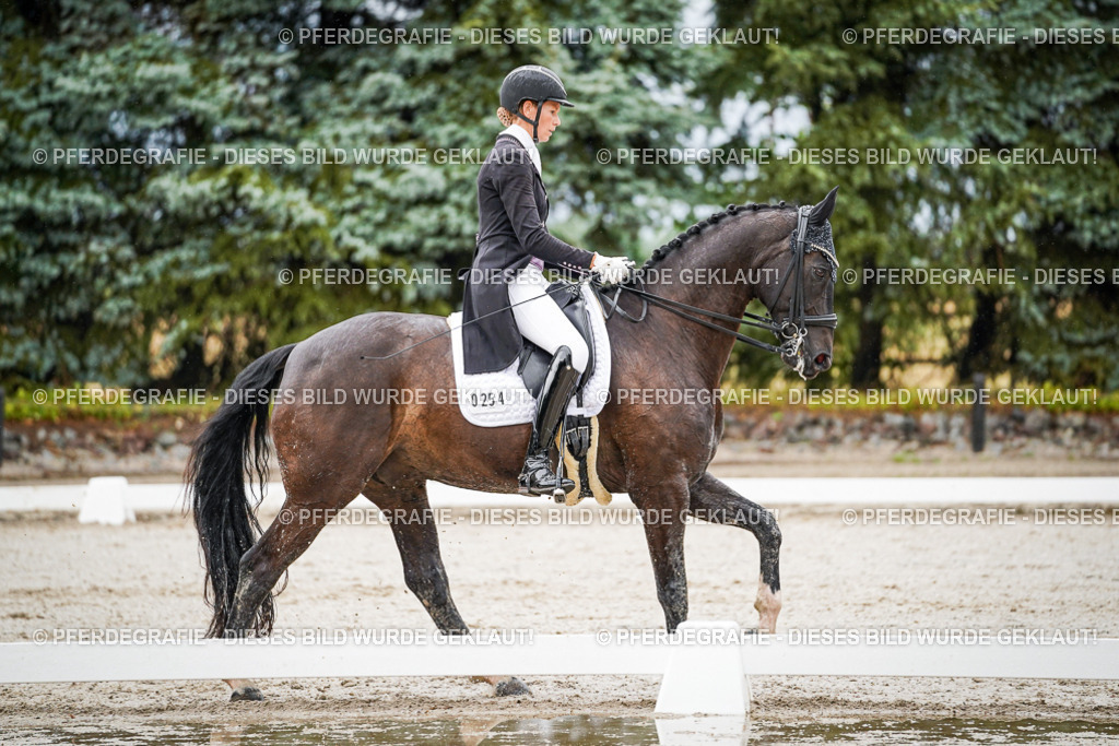 DSC08749 | Pferdegrafie