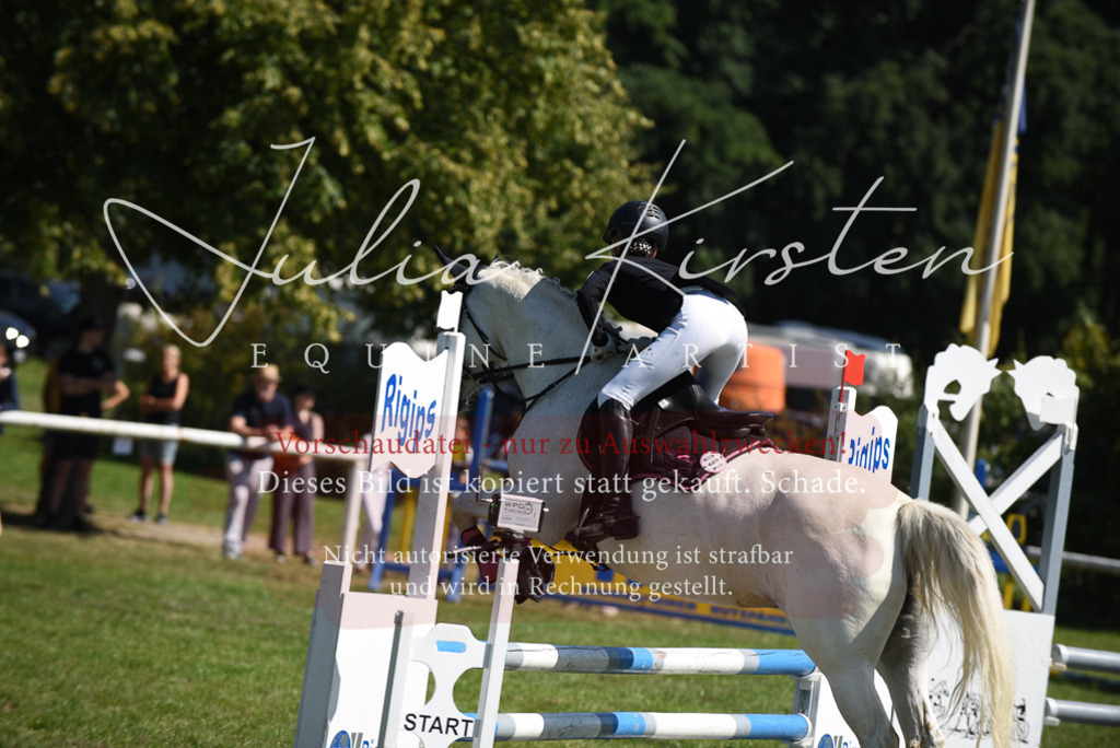 DSC_9489 | Pferde- und Turnierfotografie in Westsachsen. Pferdeportraits, Auftragszeichnungen und intuitive Kunst.