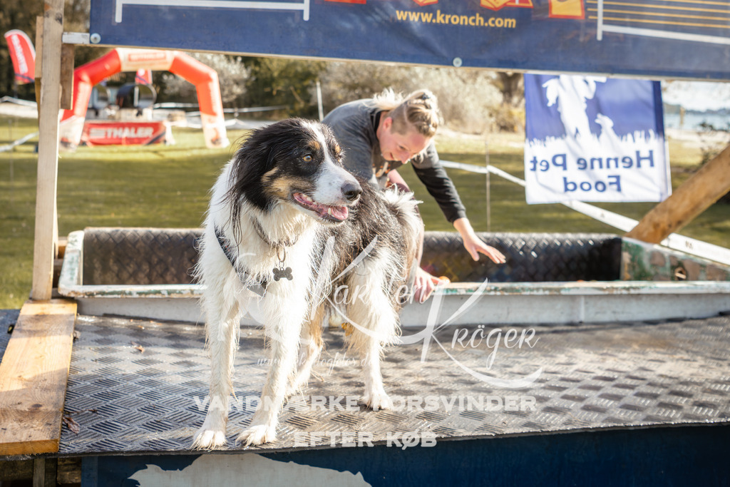 1426_ZZ94529-2 | kk-dogfotos