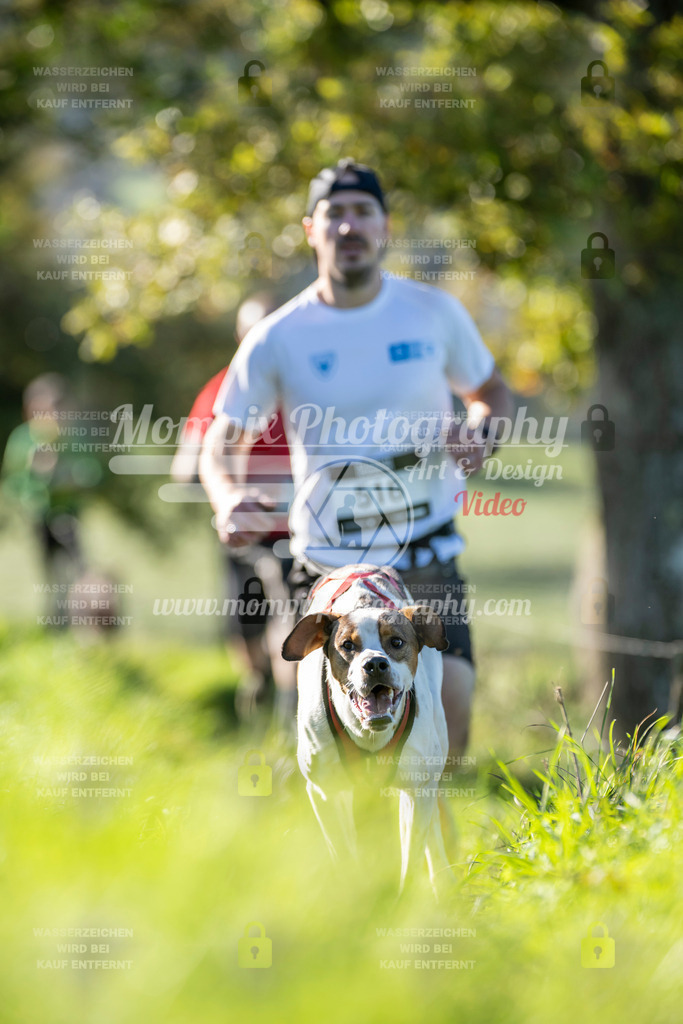 MompixPhotography_20TSB_E3_Run-222 | PayLife