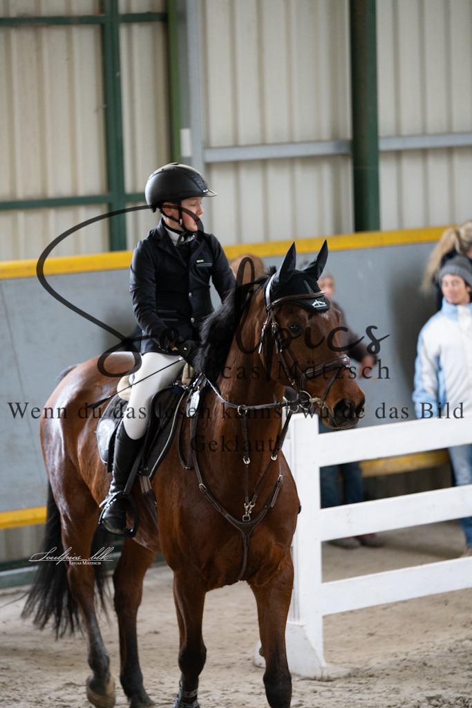 A7V01084 | Pferdefotograf