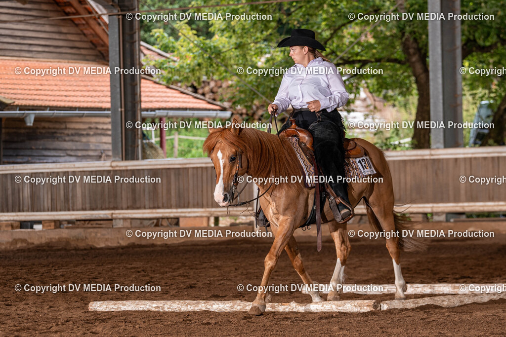 Erbach Tag 2-329 | dv-media-shop - Realisiert mit Pictrs.com