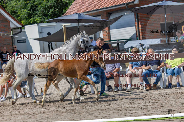 Fiesoythe DR-806 | mandyhollmannphotographie