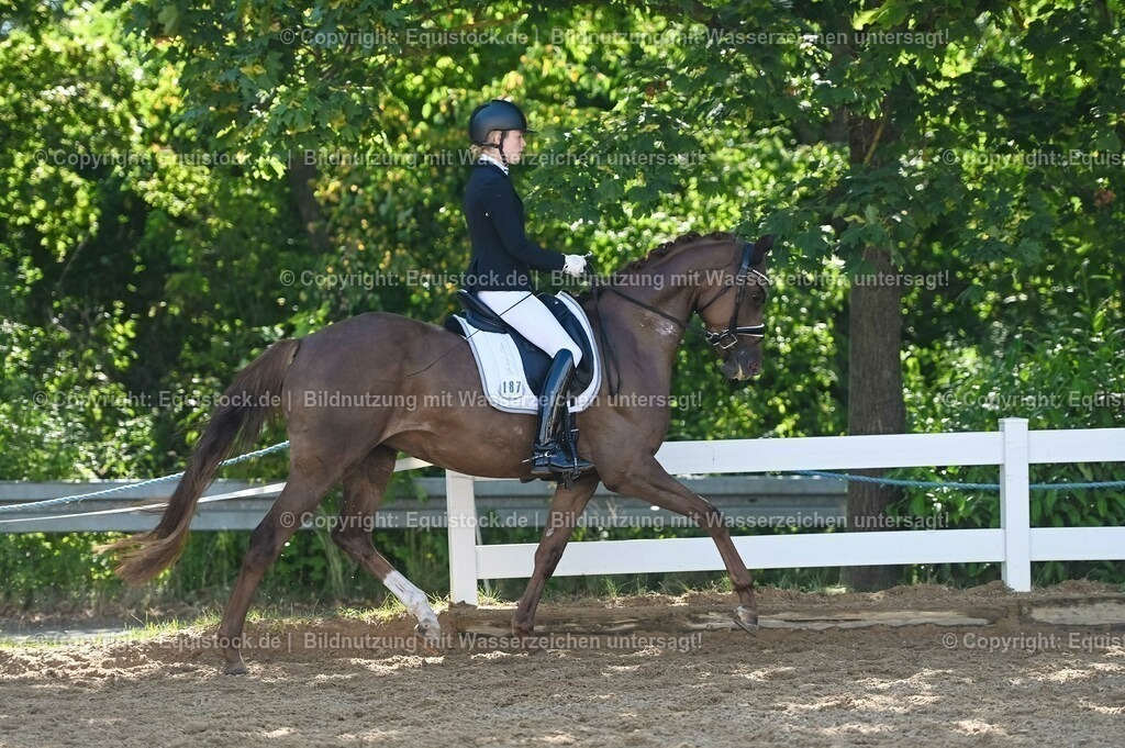 20230715_06_Dressurpferdeprfg. Kl.A_0423 | equistock
