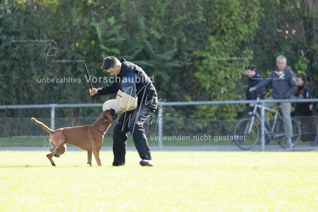 _16A6585 | Einzigartige Fotos von Hunden & Menschen –Actionfotos, Portraits, Vereinsaufnahmen & Paarshootings – authentisch, lebendig & mit Herz.