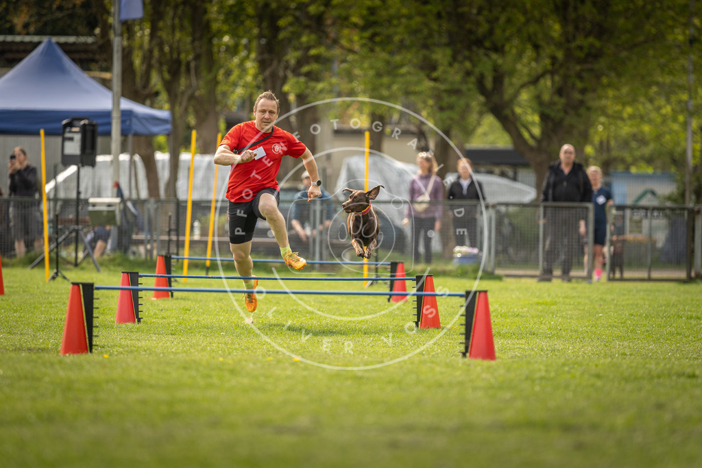 Pfotenfotografie_DV3A5991 | Hundefotografie, Tierfotograf, Pfotenfotografie, Fotoshooting Hund, Hunde Portrait, Hundesport, Hundeportraits, Heideshooting, Hunde, Sportfotograf, Hundefotograf, Turnierhundsport, THS,  - Realisiert mit Pictrs.com
