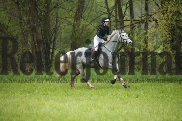 Kirchberg_2023_Stilgeländeritt_Kl.A_Jane Bock_Chinagirl 5 (6) | Alle Fotos der Reiterjournal Fotografin Doris Matthaes im Reiterjournal Online-Fotoshop. - Realizado com Pictrs.com