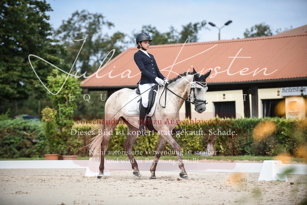 DSC_8688 | Pferde- und Turnierfotografie in Westsachsen. Pferdeportraits, Auftragszeichnungen und intuitive Kunst.