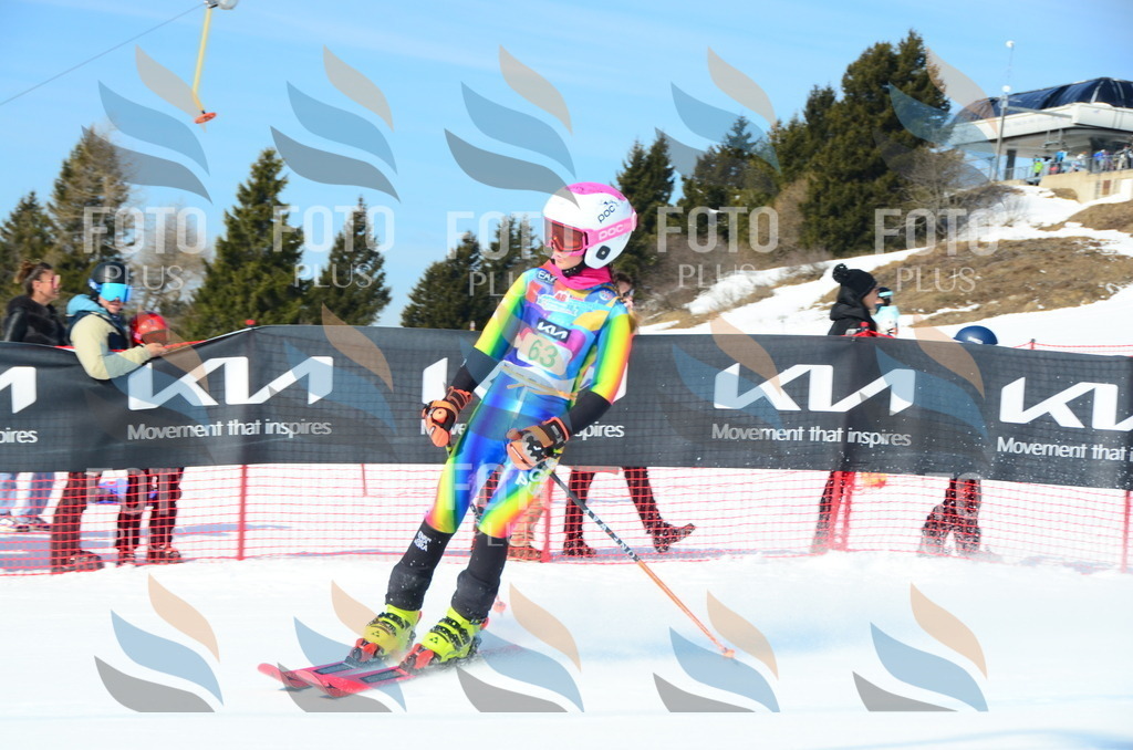 DSC_0340 | holidayphoto