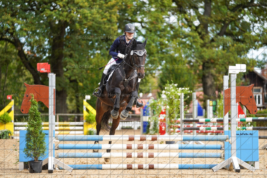 20221009-FAH08455 | Diessen am Ammersee, 2022, Dressur- und Springturnier, Reitsportbilder, Turnierfotografen Bayern, Pferdefotografen, Fotoagentur Herrmann, Turnierbilder