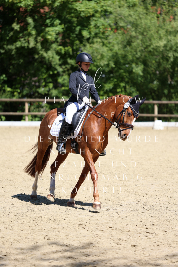 IMGS1323 | pl-fotografie