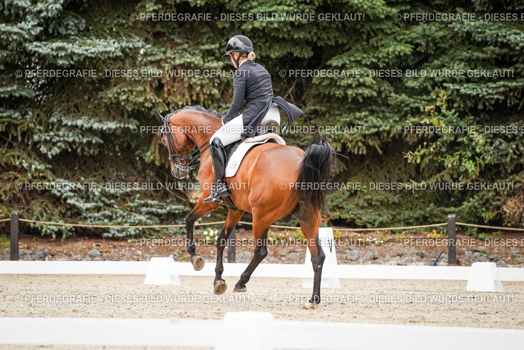 DSC07308 | Pferdegrafie