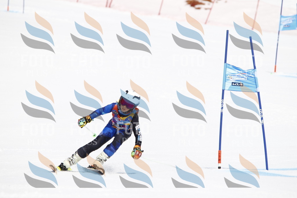 _U3G5392 | holidayphoto