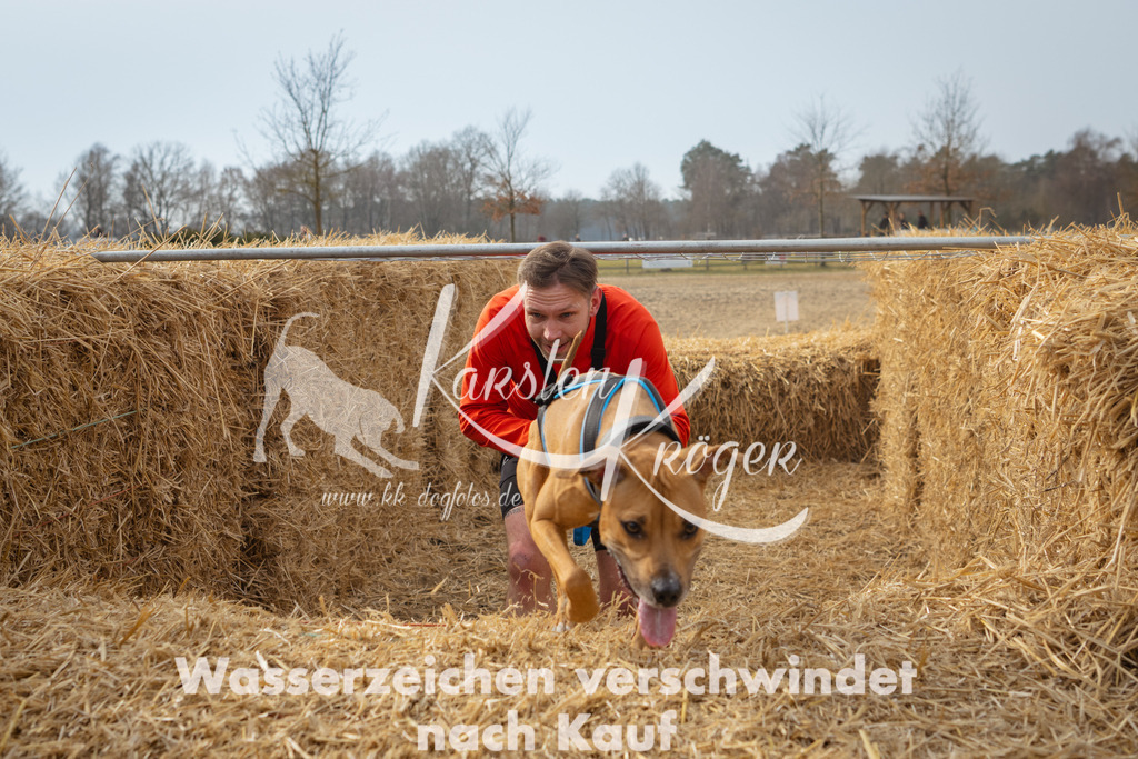 1102_ZZ91755 | kk-dogfotos