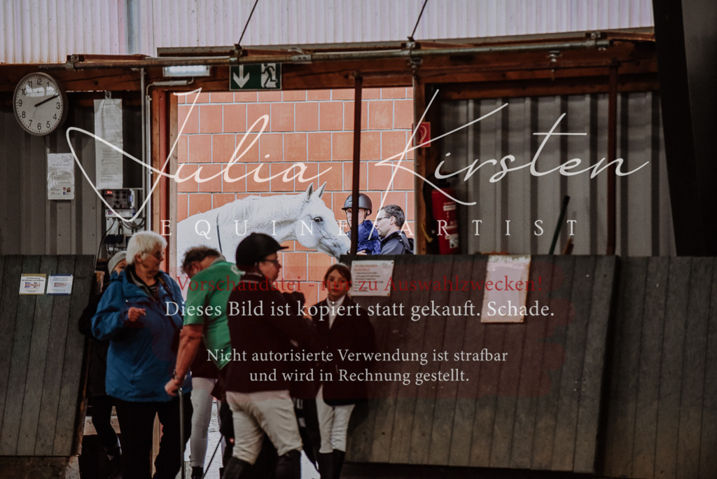 DSC_7010 | Pferde- und Turnierfotografie in Westsachsen. Pferdeportraits, Auftragszeichnungen und intuitive Kunst.