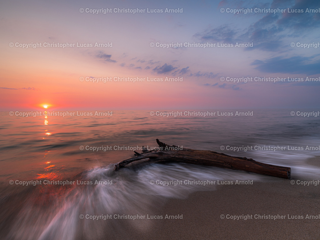 20220818-_DSC8642 | bildkomponist - Realisiert mit Pictrs.com