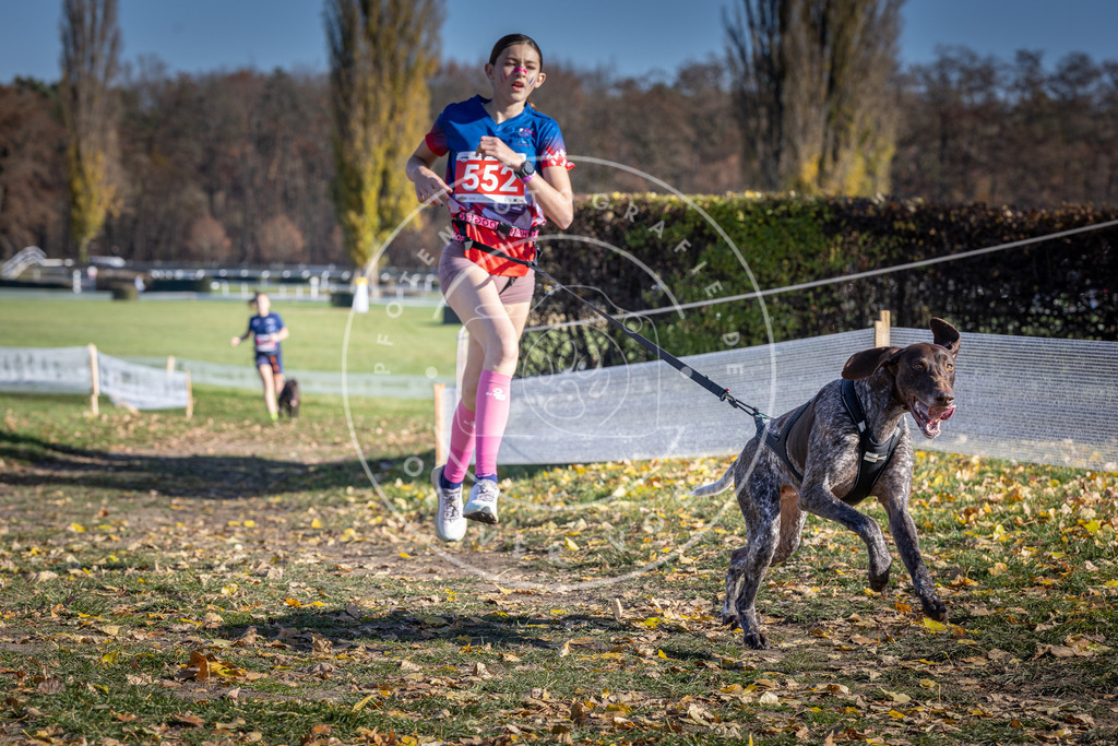 CaniXpix_DV3A8524 | Hundefotografie, Tierfotograf, Pfotenfotografie, Fotoshooting Hund, Hunde Portrait, Hundesport, Hundeportraits, Heideshooting, Hunde, Sportfotograf, Hundefotograf, Turnierhundsport, THS,  - Realisiert mit Pictrs.com