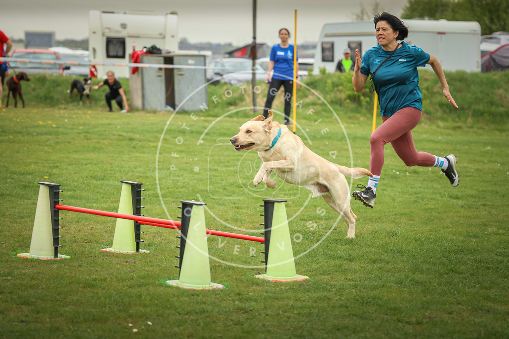 Pfotenfotografie_0L8A0691 | Hundefotografie, Tierfotograf, Pfotenfotografie, Fotoshooting Hund, Hunde Portrait, Hundesport, Hundeportraits, Heideshooting, Hunde, Sportfotograf, Hundefotograf, Turnierhundsport, THS,  - Realisiert mit Pictrs.com