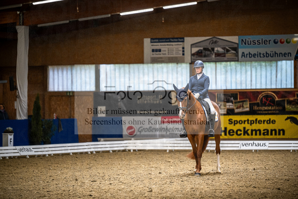 DOS_1765 | Entdecke hochwertige Reitturnierfotos von Foto Oger. Professionell, emotional und authentisch – jetzt Lieblingsmomente im Shop bestellen.Deutschlandweite Turnierfotografie. - Realisiert mit Pictrs.com