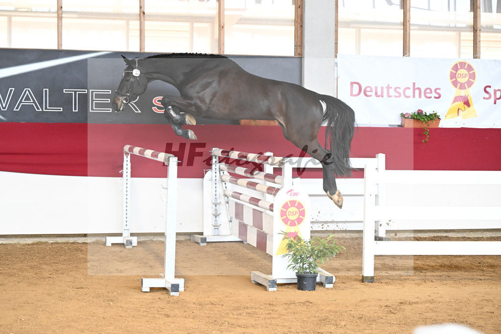 Kat-Nr. 55 Celina v. Chubakko_Ostermann_7251132 | hf-fotografie - Realizzato con Pictrs.com