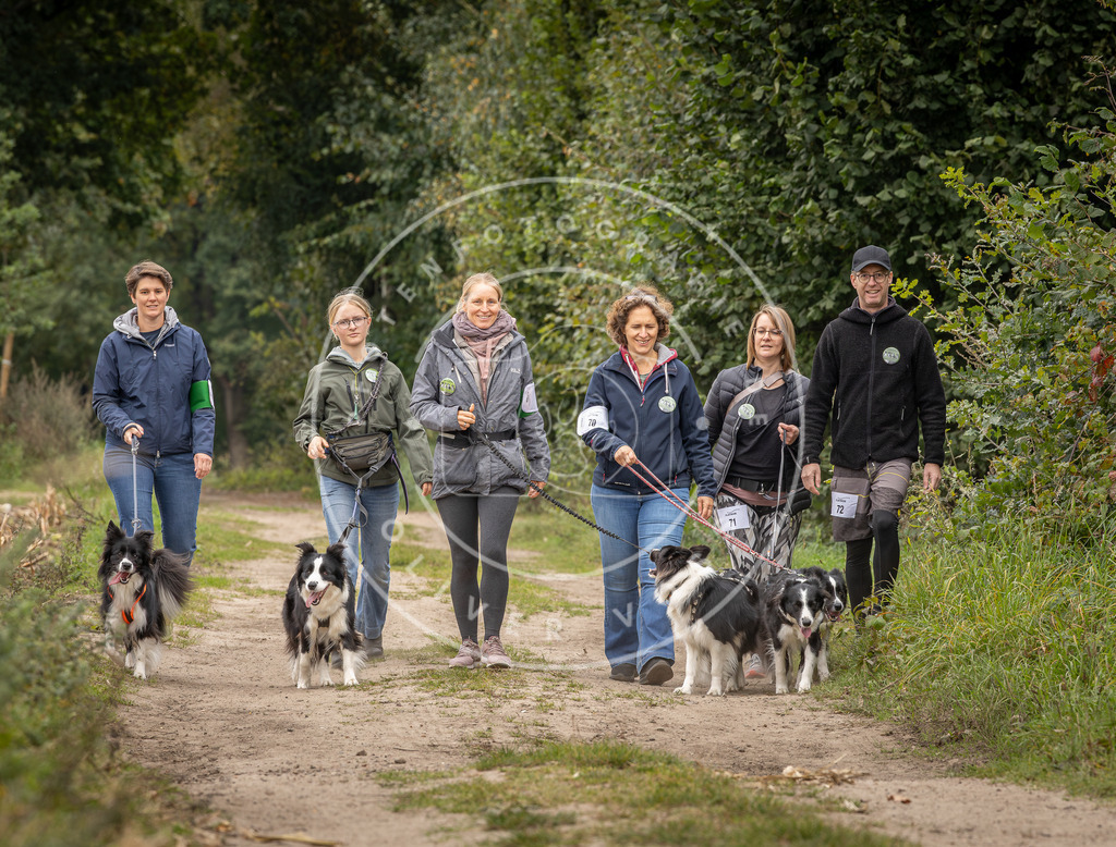Pfotenfotografie_DV3A8621 | Hundefotografie, Tierfotograf, Pfotenfotografie, Fotoshooting Hund, Hunde Portrait, Hundesport, Hundeportraits, Heideshooting, Hunde, Sportfotograf, Hundefotograf, Turnierhundsport, THS,  - Realisiert mit Pictrs.com