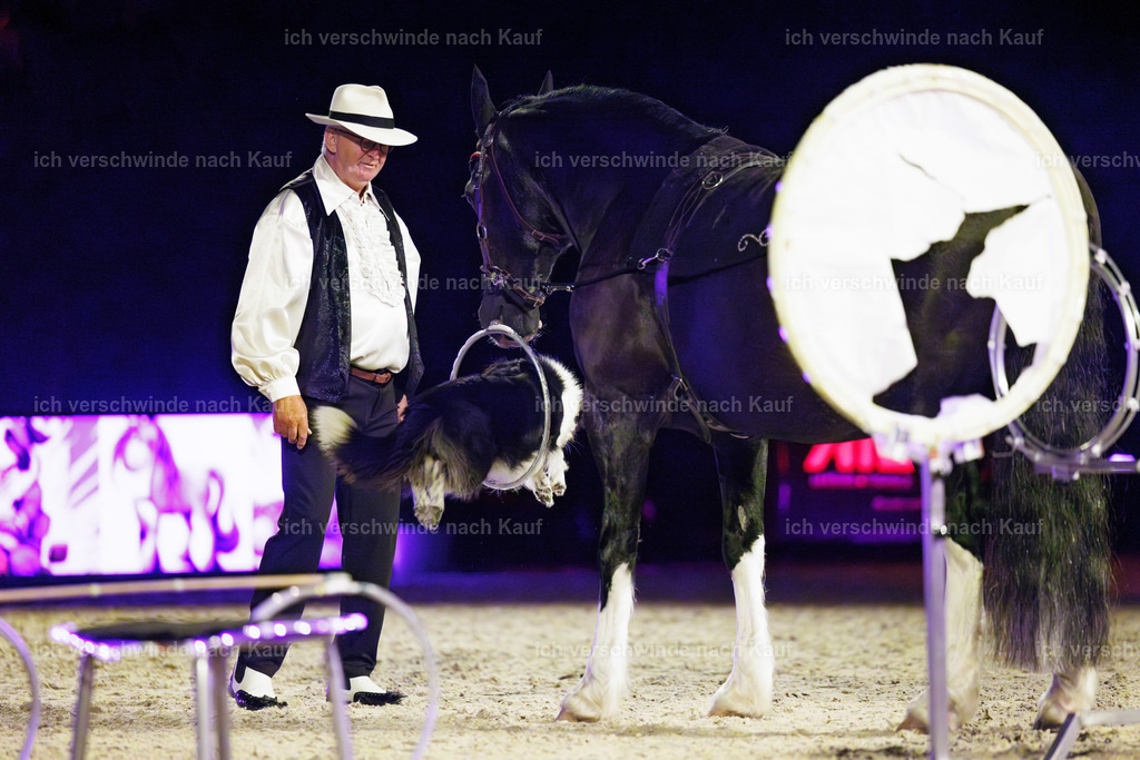 FHC2025 Show-28126 | working equitationturnier fotograf videograf stoibphotography marixx film working equitation deutschland reitsport turnierfotografie eventfotografie equestrian events