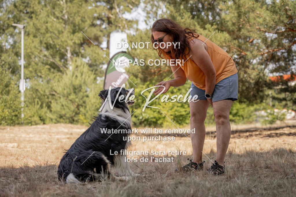nelerasche_soDD2_451 | nelerasche
