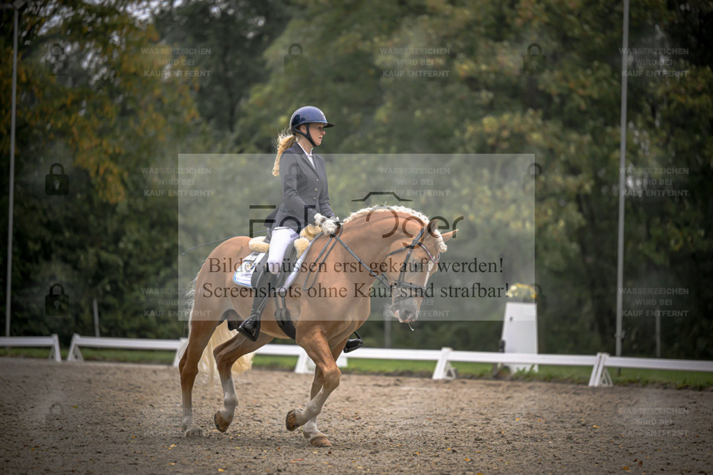 FOTO OGER | Entdecke hochwertige Reitturnierfotos von Foto Oger. Professionell, emotional und authentisch – jetzt Lieblingsmomente im Shop bestellen. - Realisiert mit Pictrs.com