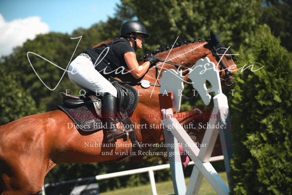 DSC_7103 | Pferde- und Turnierfotografie in Westsachsen. Pferdeportraits, Auftragszeichnungen und intuitive Kunst.