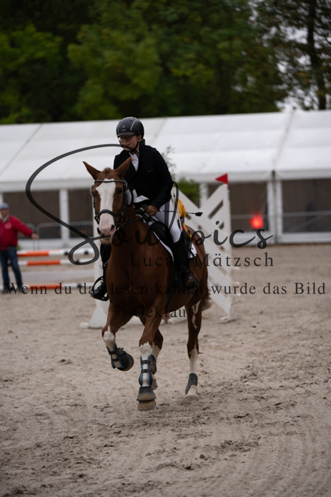 A7V09780 | Pferdefotograf