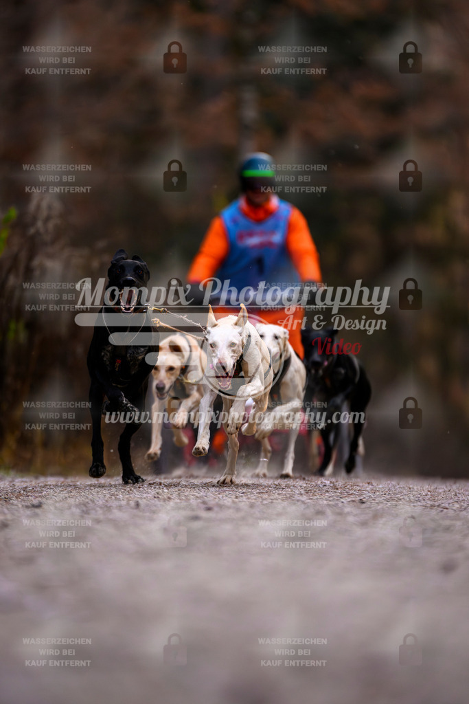 MompixPhotography_DM_AKDM_SO_2025_Wagen-7 | PayLife